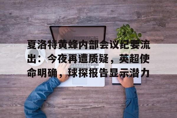 kaiyun-夏洛特黄蜂内部会议纪要流出：今夜再遭质疑，英超使命明确，球探报告显示潜力的简单介绍